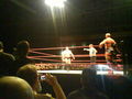 Wrestling in Linz 36830944