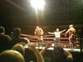 Wrestling in Linz 36830951