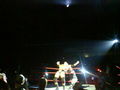 Wrestling in Linz 36830991