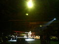 Wrestling in Linz 36831014