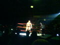 Wrestling in Linz 36831020