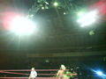 Wrestling in Linz 36831044