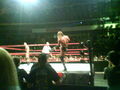 Wrestling in Linz 36831048