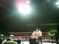 Wrestling in Linz 36831054