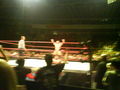 Wrestling in Linz 36831065