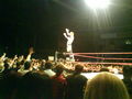 Wrestling in Linz 36831107