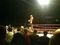 Wrestling in Linz 36831122