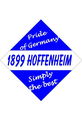 Hoffenheim 44611002