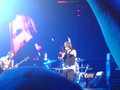 Red Hot Chili Peppers 2006 12442744