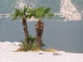 ~* Lago di Garda 2005 *~ 3430476