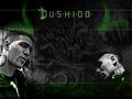 bushido 18656205