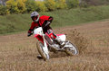 Motocross forever 18782153