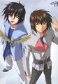 Gundam Seed Destiny 19037276