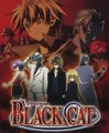 Black Cat 19895821