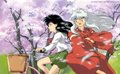 Inuyasha 20240382