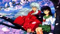 Inuyasha 20240436