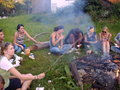 attersee 2006 20988044