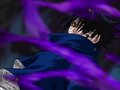 Sasuke_Uchiha - Fotoalbum