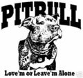 Pit bull fight 50491898