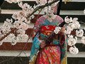 yakuza, geisha 29340176