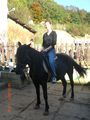 Reiten in Ampfelwang 48113486