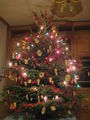 Unsa Weihnachtsbaum, Bam oida 50725589