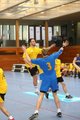 Handball 19263778