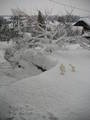 schnee, schnee, schnee,.... 2005/06 4419729