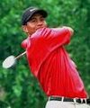 Tiger Woods 21098104