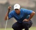 Tiger Woods 21098105