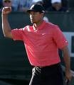 Tiger Woods 21098110