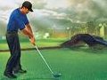 Tiger Woods 21098111