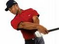 Tiger Woods 21149062