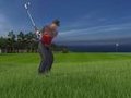 Tiger Woods 21149069