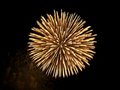 Fireworks 24719869