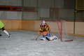 Eiskockey 30307680