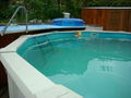 ...Unser Haus und Pool... 65429086