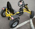 ...Mein Gokart... 65899853