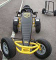 ...Mein Gokart... 65899860