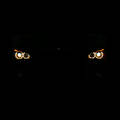 angel eyes 7063876