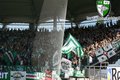 Rapid Wien (Tod und Hass dem FAK) 19467988