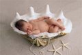 Anne Geddes 19866613