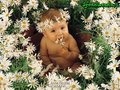 Anne Geddes 19866617