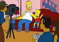 The Simpsons 19550552