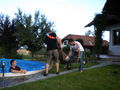 after-frühschoppen-poolparty 62642708