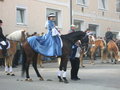 Mein EX-Pferd und Ich 19613353