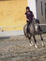 reiten in Stadl Paura 20022317