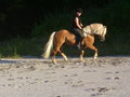 Meli und ihre Pferdchen !!!! 23886206