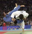 judo 71355121