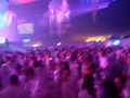 sensation white 58946469